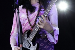 19 - Ramblin Man Fair 2016