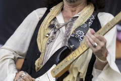41 - Ramblin Man Fair 2016