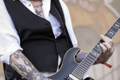 42 - Ramblin Man Fair 2016