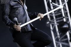 43 - Ramblin Man Fair 2016