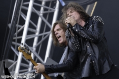 50 - Ramblin Man Fair 2016