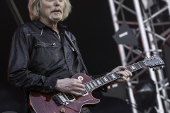 63 - Ramblin Man Fair 2016