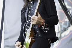66 - Ramblin Man Fair 2016