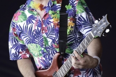 8 - Ramblin Man Fair 2016