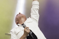 88 - Ramblin Man Fair 2016