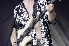 9 - Ramblin Man Fair 2016