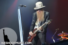 RAMBLIN' MAN FAIR 2017 - 17