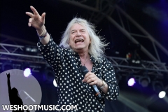 RAMBLIN' MAN FAIR 2017 - 21