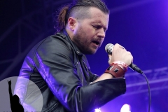 RAMBLIN' MAN FAIR 2017 - 39