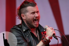 RAMBLIN' MAN FAIR 2017 - 41