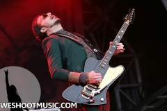RAMBLIN' MAN FAIR 2017 - 42