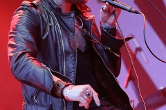 RAMBLIN' MAN FAIR 2017 - 43