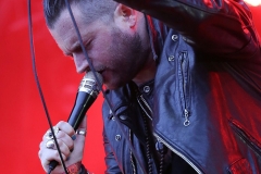 RAMBLIN' MAN FAIR 2017 - 44