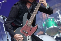 RAMBLIN' MAN FAIR 2017 - 49