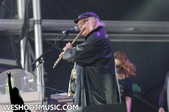 RAMBLIN' MAN FAIR 2017 - 62