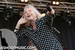 RAMBLIN' MAN FAIR 2017 - 64