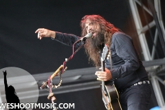 RAMBLIN' MAN FAIR 2017 - 7