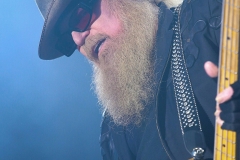 RAMBLIN' MAN FAIR 2017 - 81