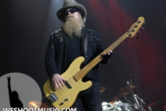 RAMBLIN' MAN FAIR 2017 - 83