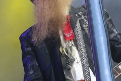 RAMBLIN' MAN FAIR 2017 - 87