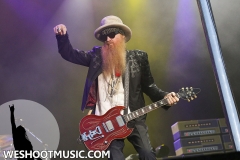 RAMBLIN' MAN FAIR 2017 - 89