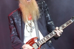 RAMBLIN' MAN FAIR 2017 - 91